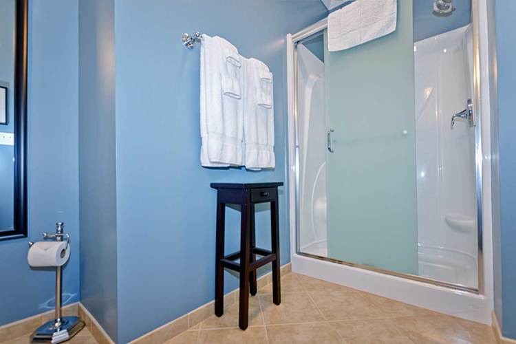 bathroom with blue walls featuring walk-in shower