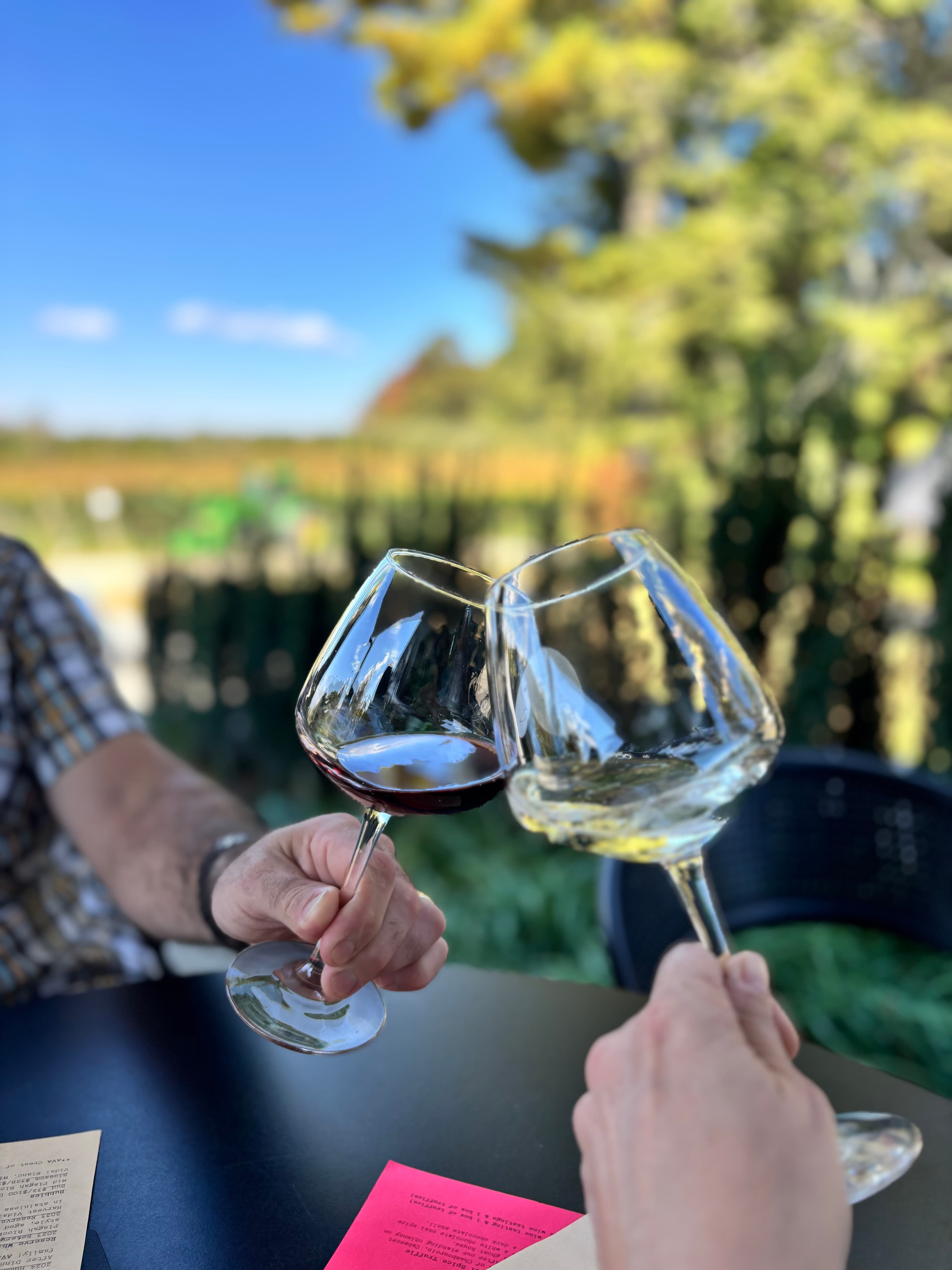 Two hands clink wine glasses-one filled with red wine and the other with white-against a backdrop of greenery.